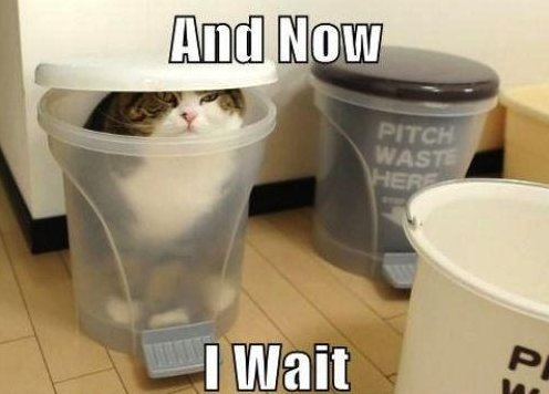 I wait