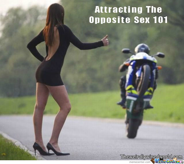 attraction