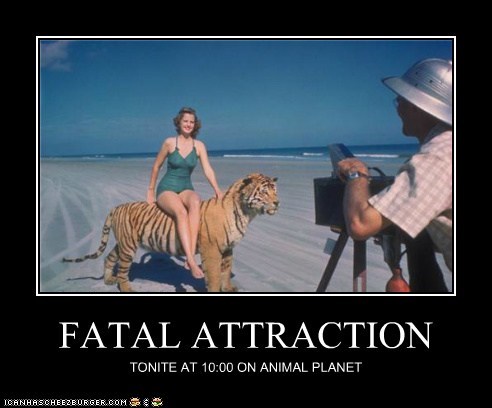 attraction