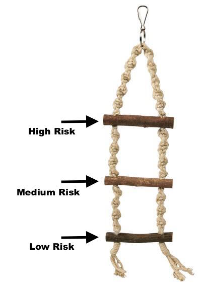 three rung ladder