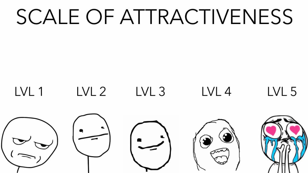 attraction scale