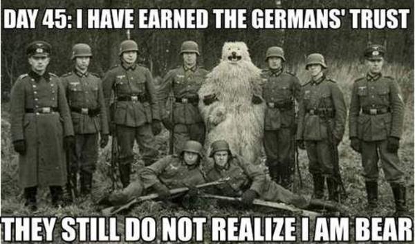 germans trust