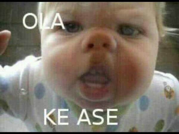 que hace
