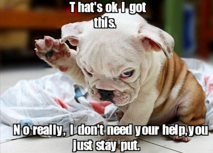 no-no-dont-help-im-good